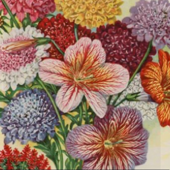 SpringTime🌸🤞 - Picture 11 of 16